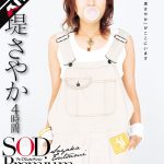 【AIリマスター】堤さやか 4時間 SOD Premium Collection